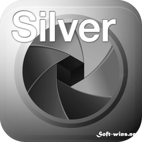 SILVER projects professional 1.14.02132