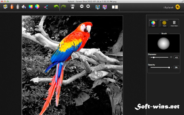 iSplash Color Photo Editor for Mac