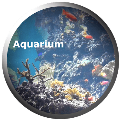Aquarium Videos 2.3