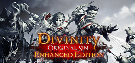 Divinity: Original Sin - Enhanced Edition (2015)