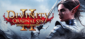 Divinity: Original Sin 2 - Definitive Edition (2019)